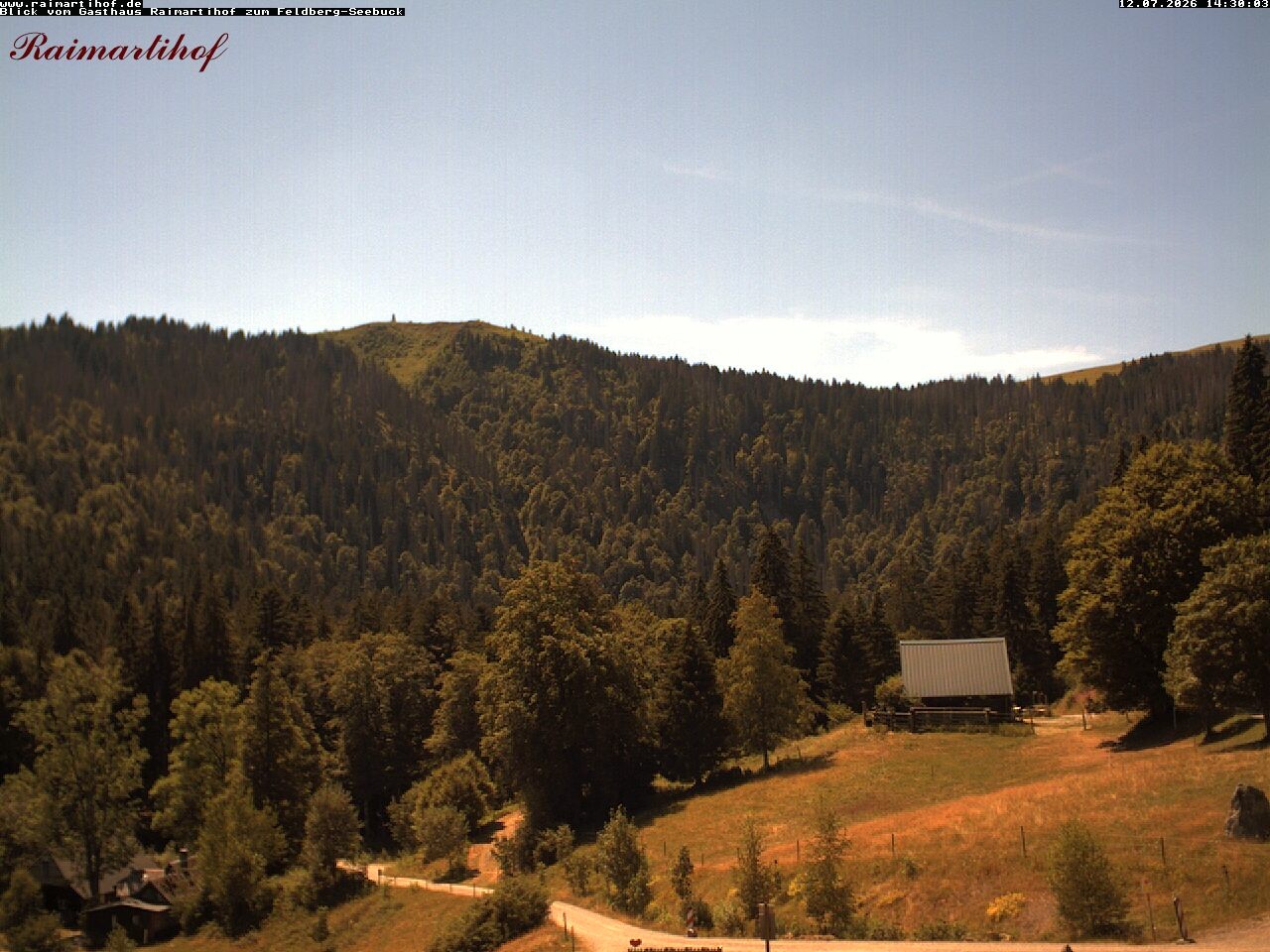 Archiv Foto Webcam Feldberg Raimartihof