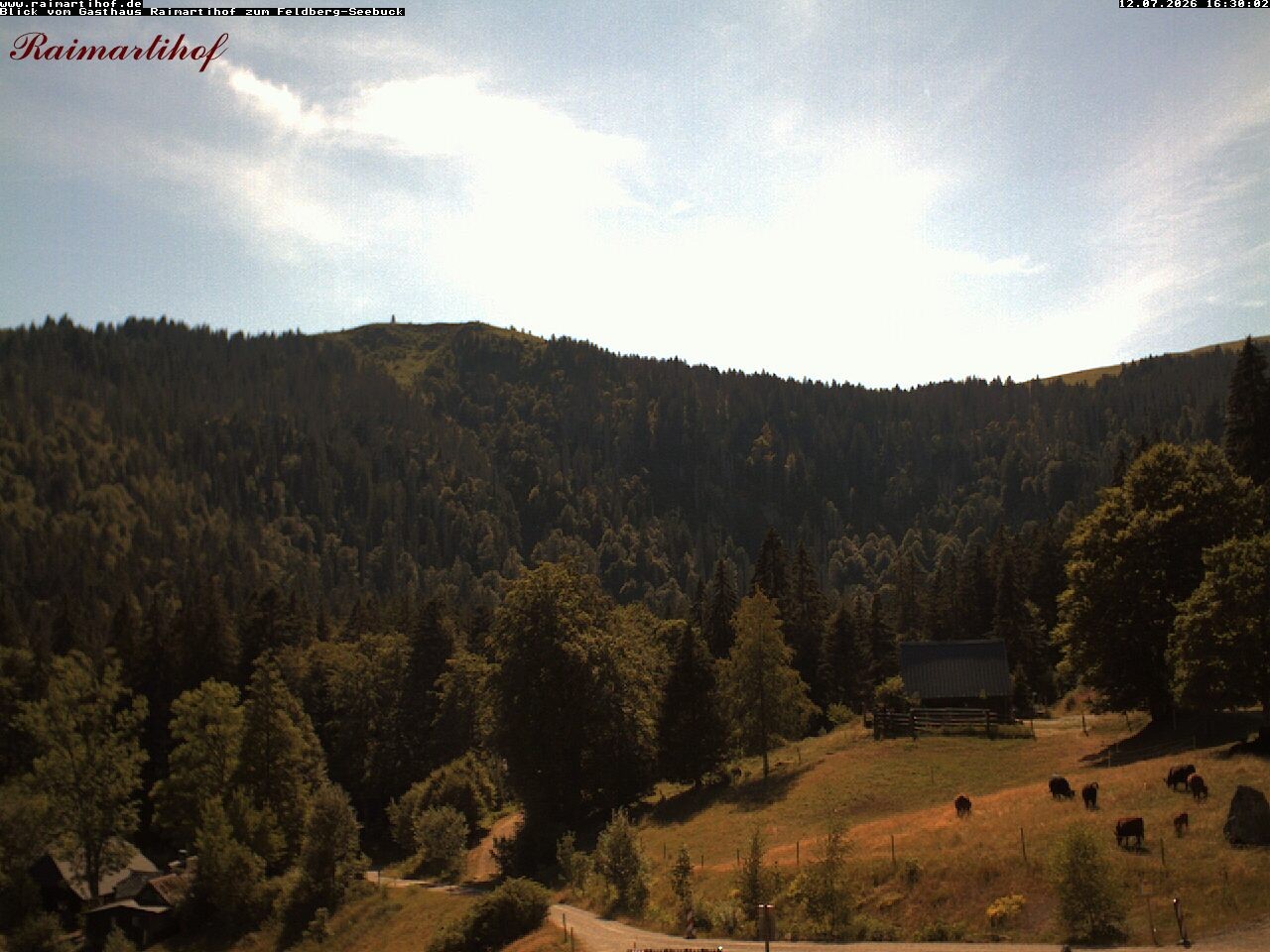 Archiv Foto Webcam Feldberg Raimartihof