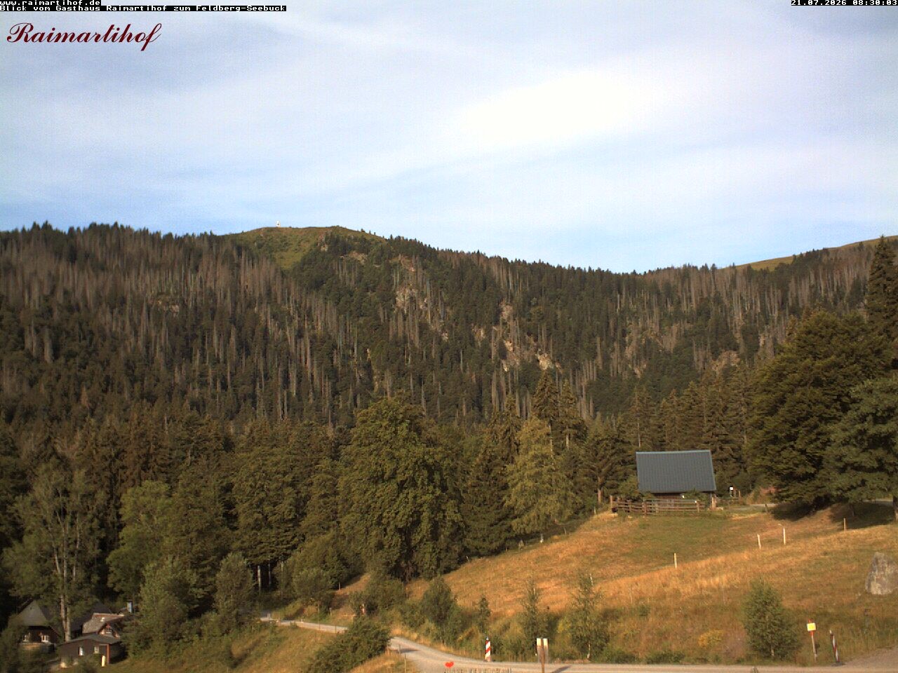 Archiv Foto Webcam Feldberg Raimartihof