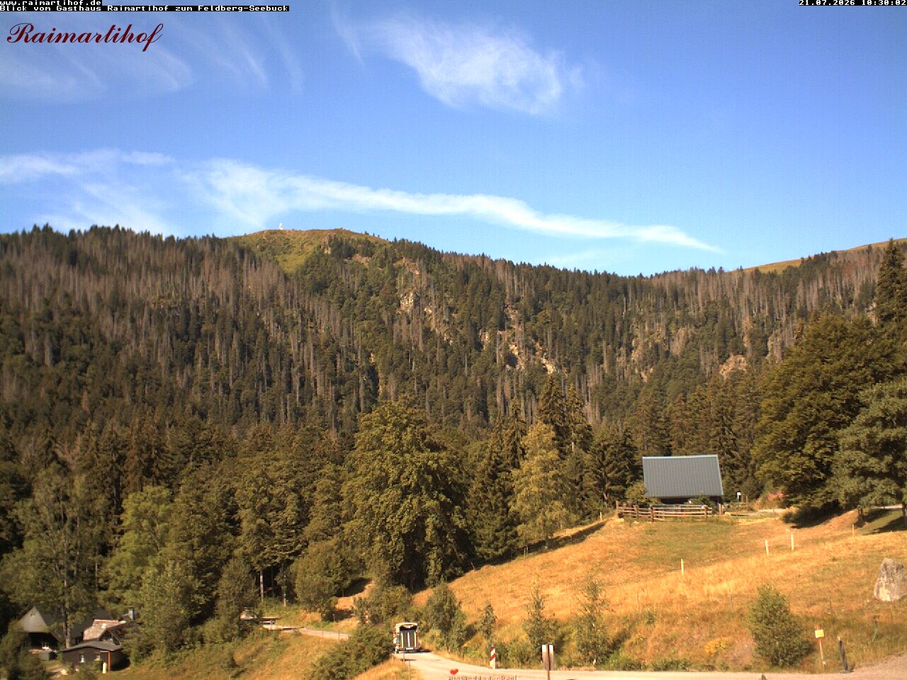 Archiv Foto Webcam Feldberg Raimartihof