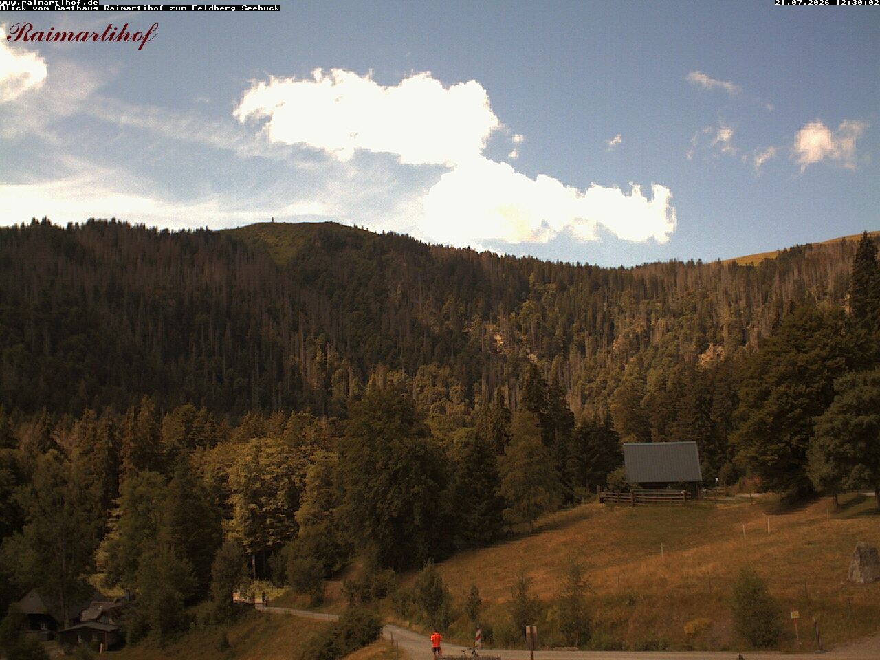 Archiv Foto Webcam Feldberg Raimartihof