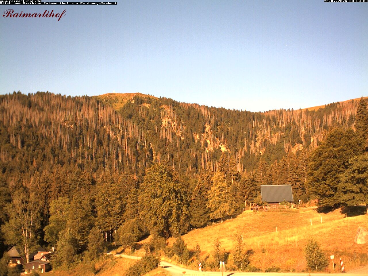 Archived image Webcam Raimartihof - Feldberg Seebuck