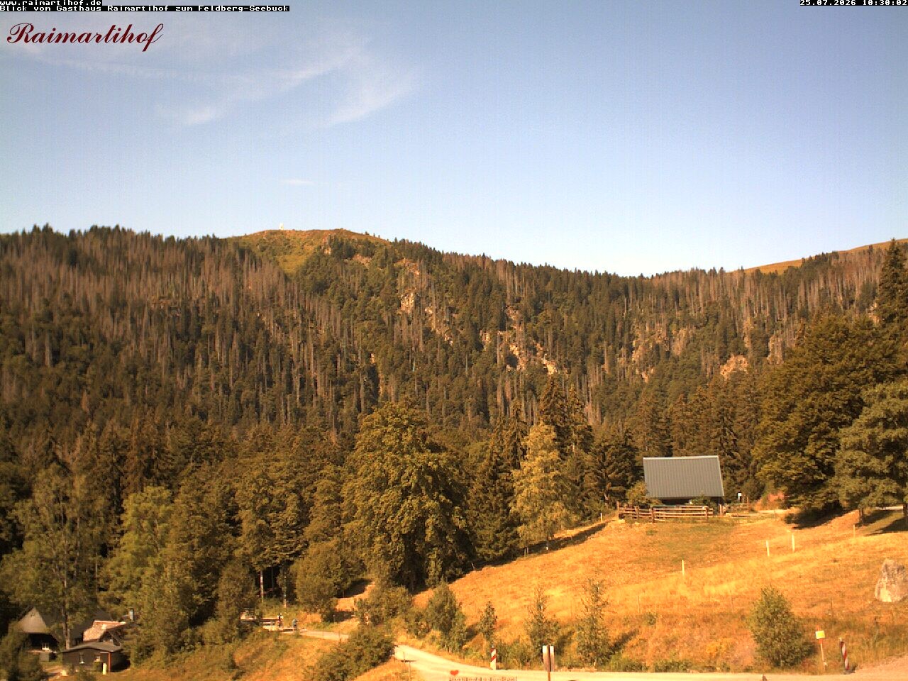 Archived image Webcam Raimartihof - Feldberg Seebuck