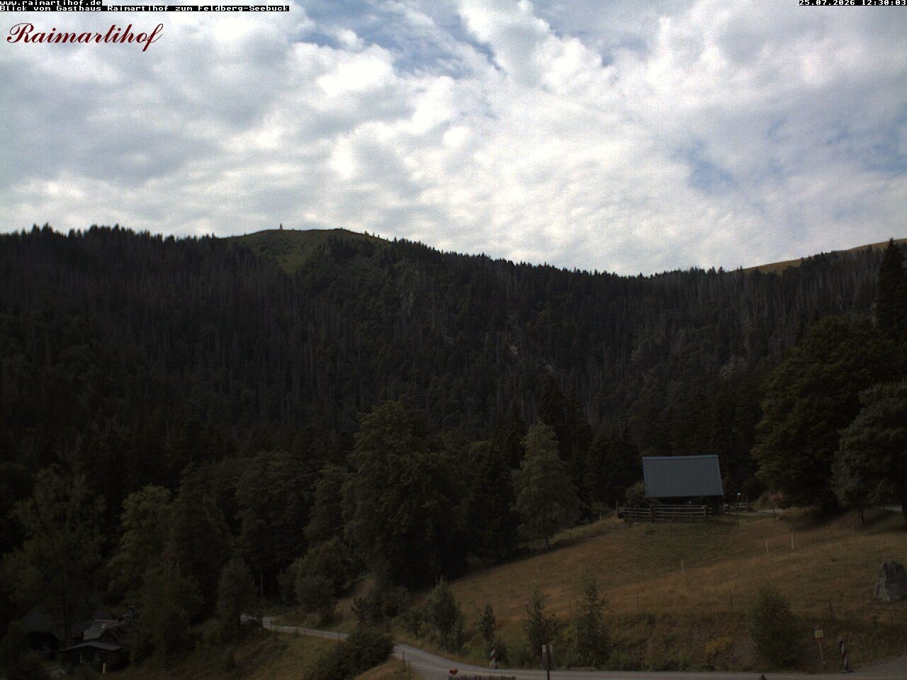 Archived image Webcam Raimartihof - Feldberg Seebuck