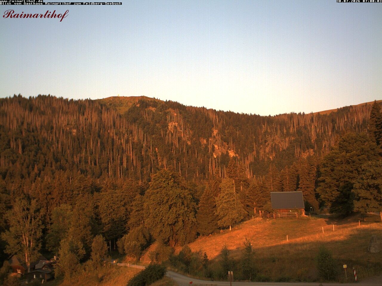 Archiv Foto Webcam Feldberg Raimartihof