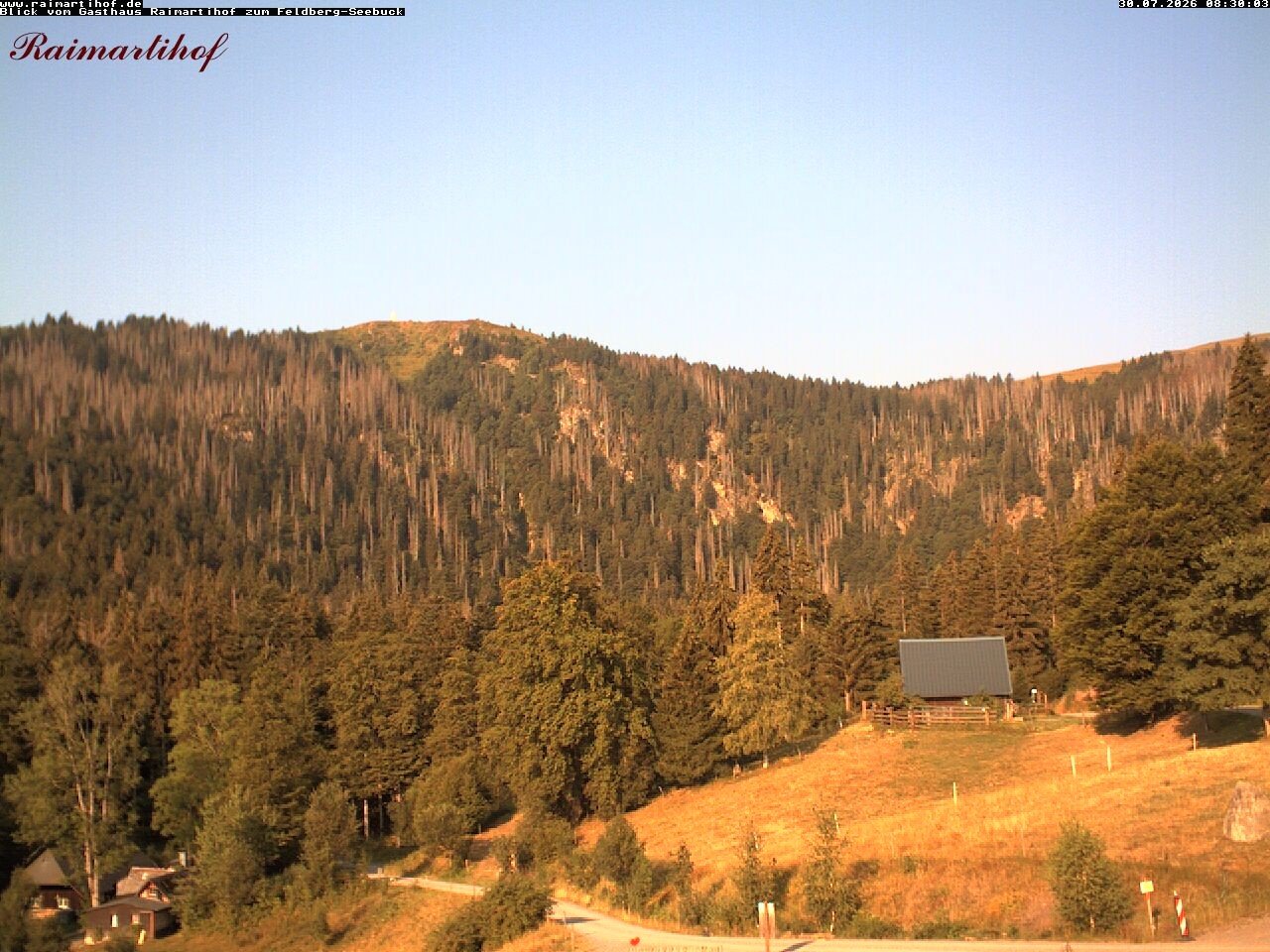 Archiv Foto Webcam Feldberg Raimartihof