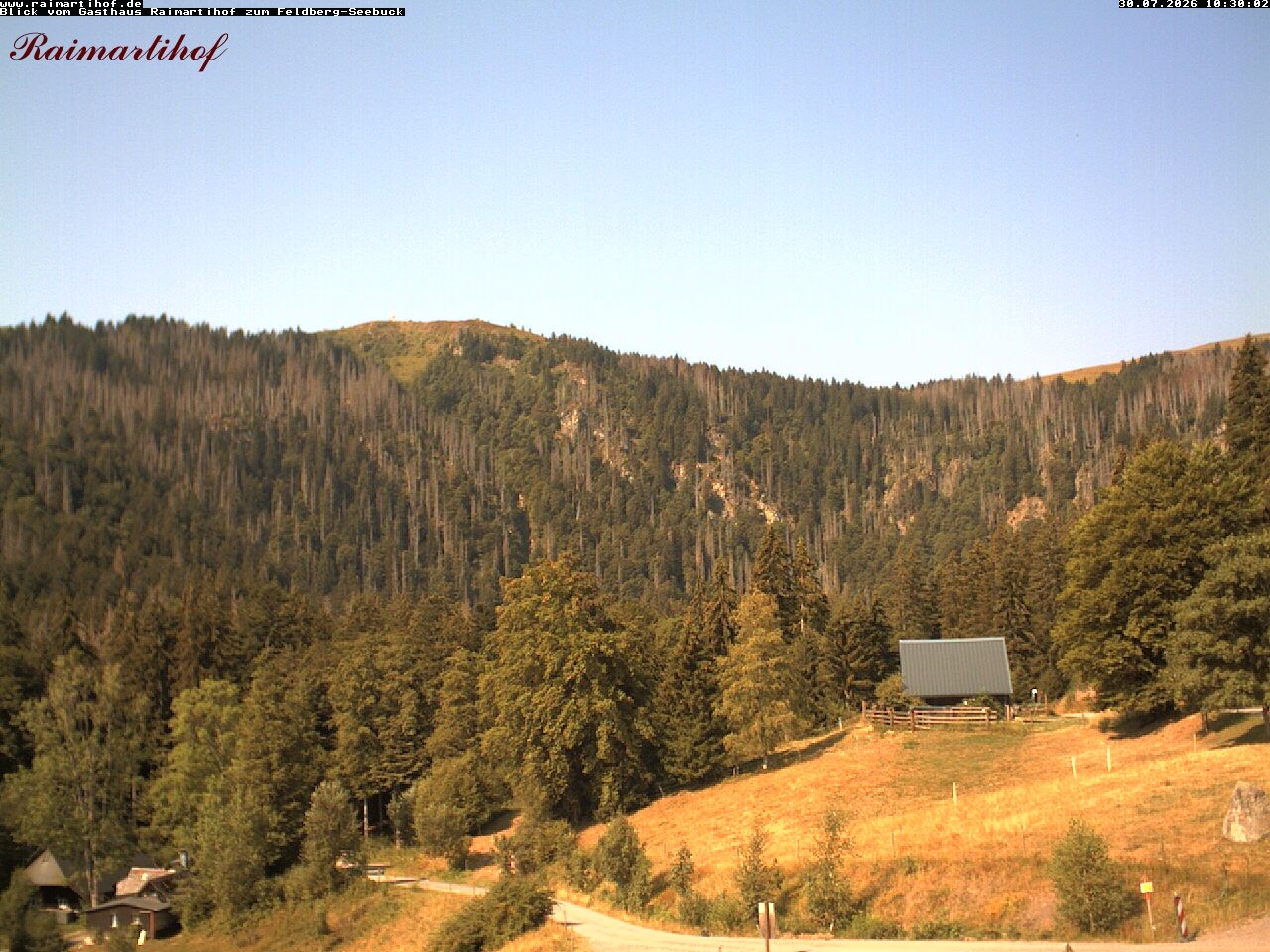 Archiv Foto Webcam Feldberg Raimartihof