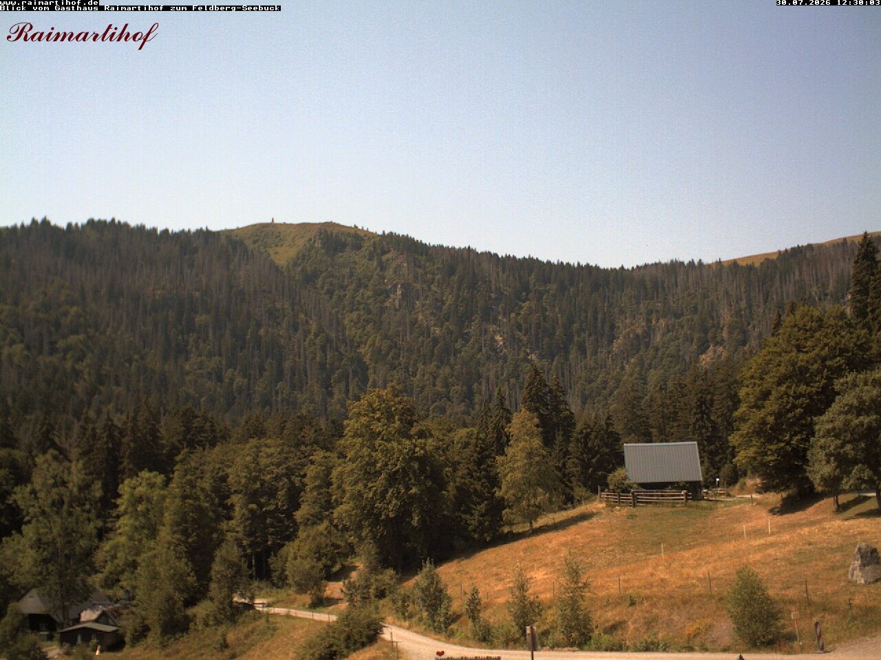 Archiv Foto Webcam Feldberg Raimartihof