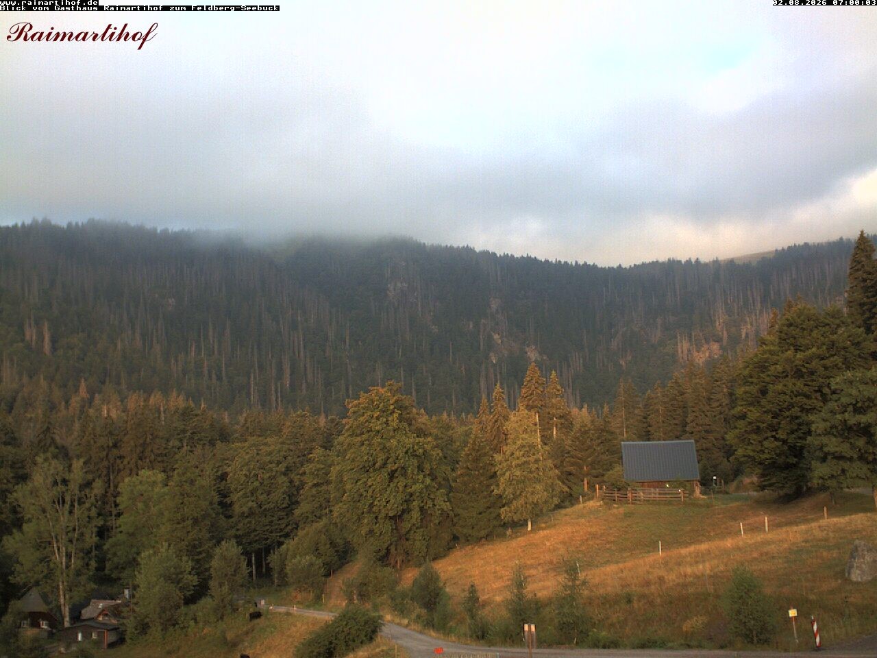 Archived image Webcam Raimartihof - Feldberg Seebuck
