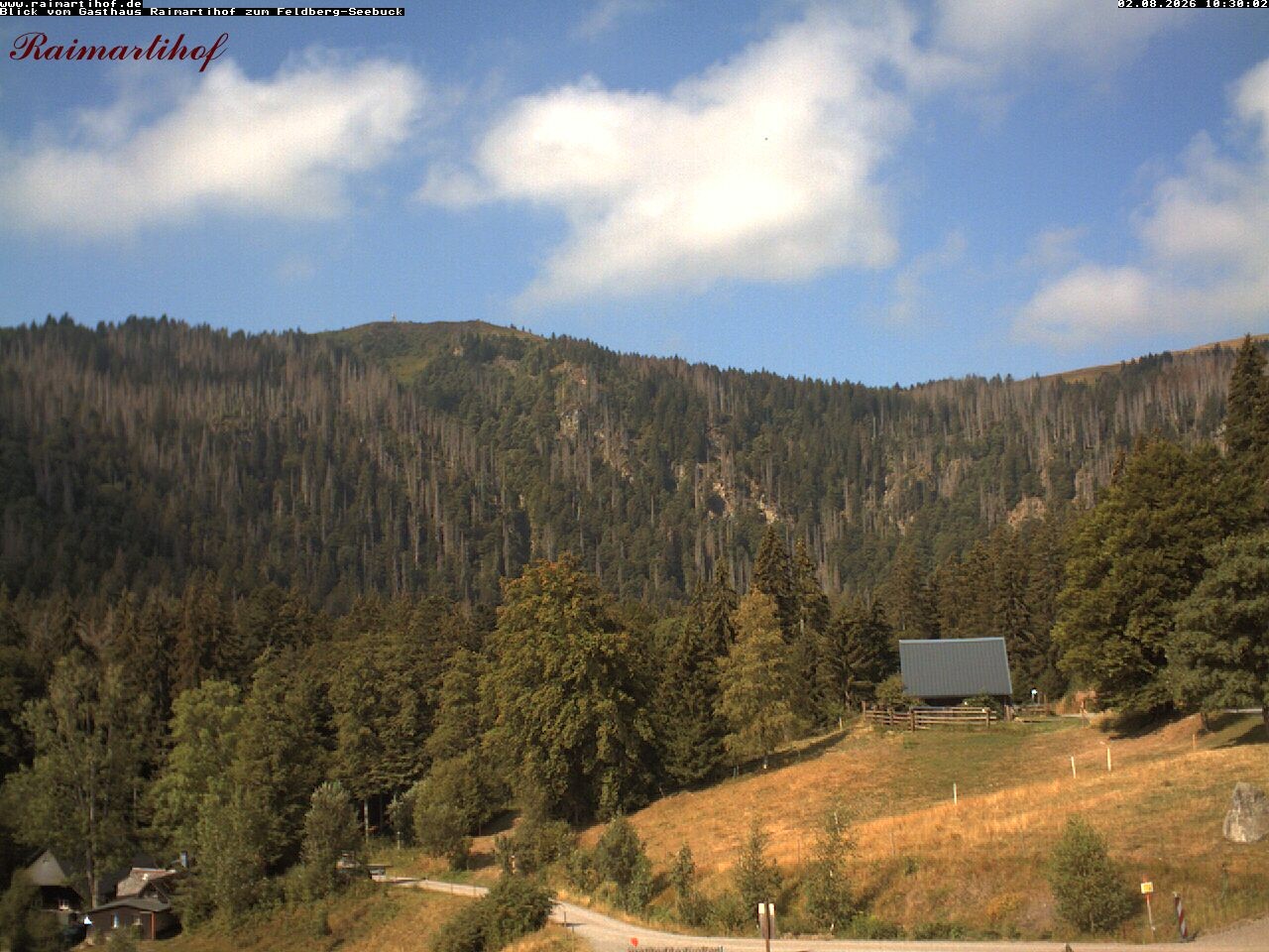 Archived image Webcam Raimartihof - Feldberg Seebuck