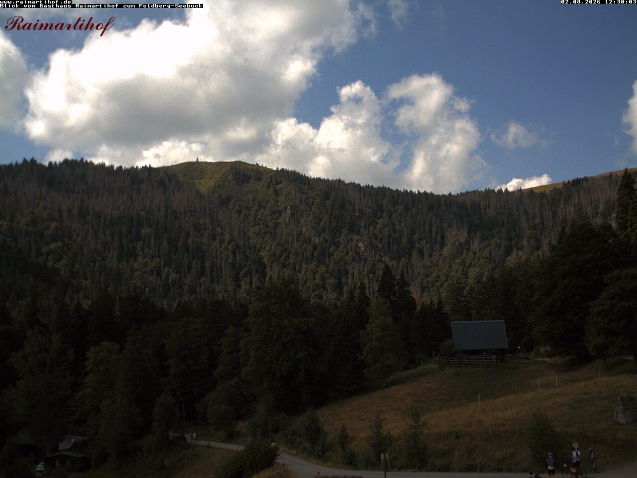 Archiv Foto Webcam Feldberg Raimartihof