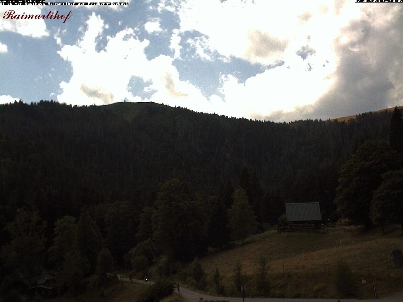 Archiv Foto Webcam Feldberg Raimartihof