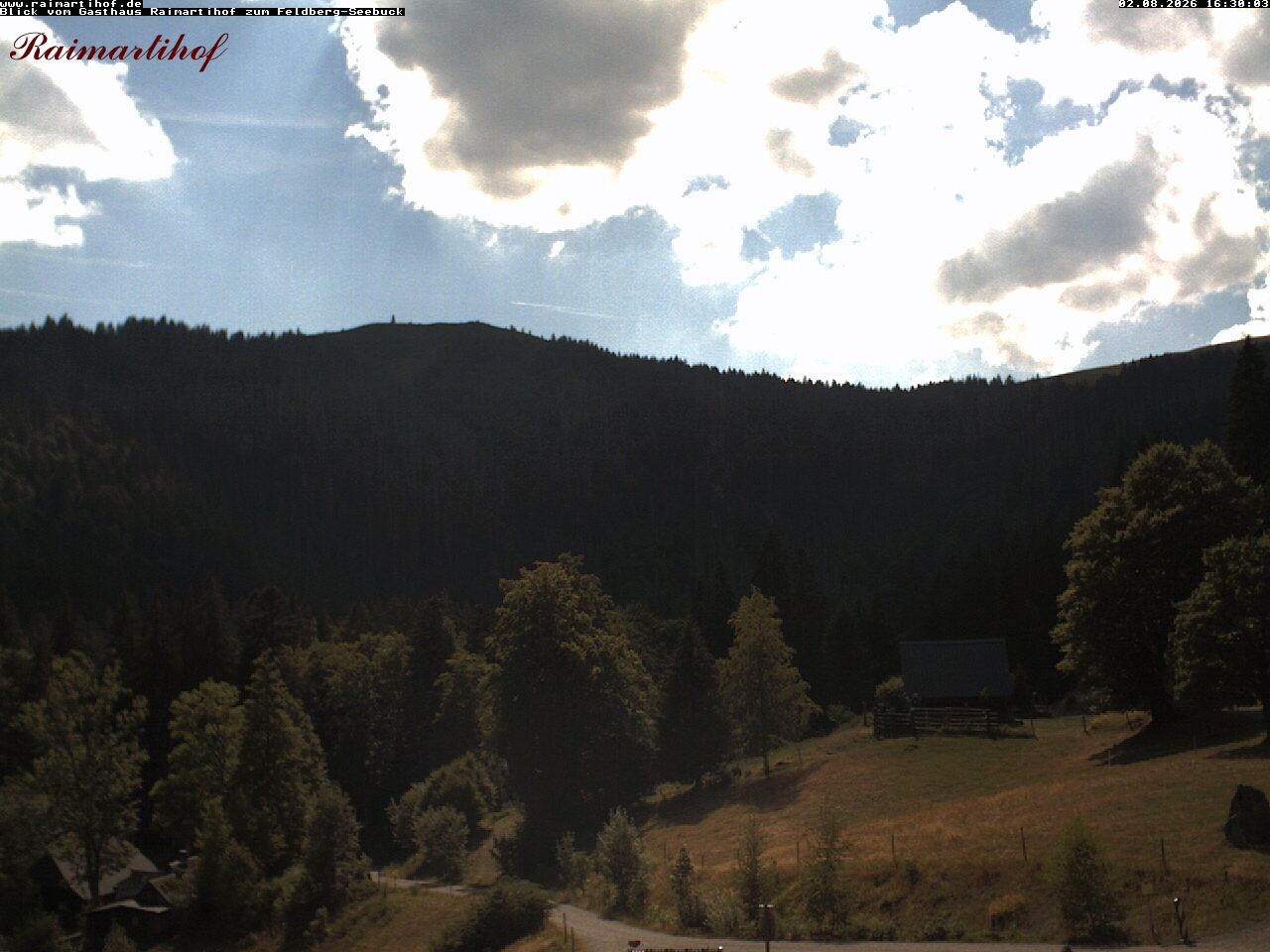 Archiv Foto Webcam Feldberg Raimartihof