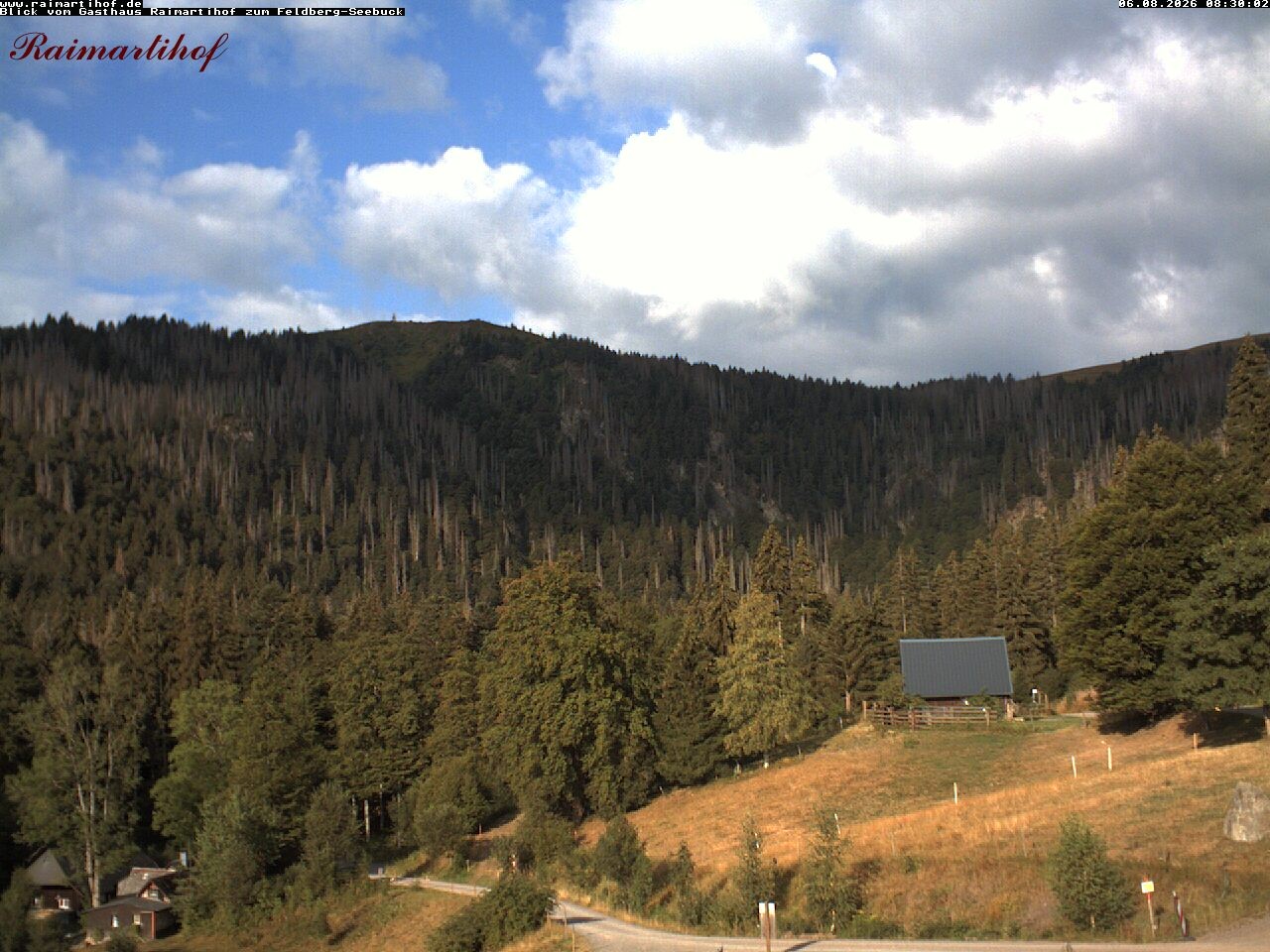 Archiv Foto Webcam Feldberg Raimartihof