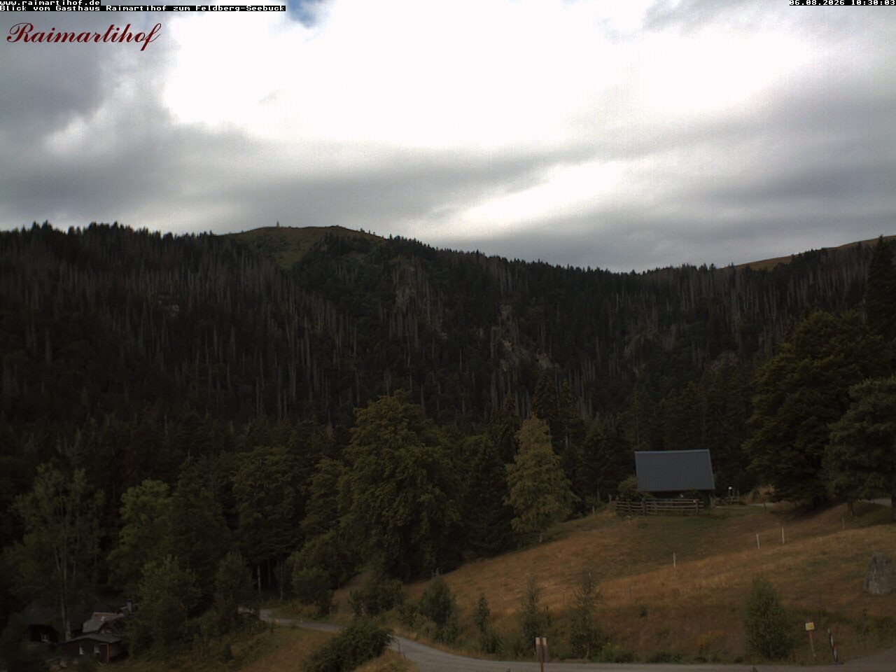 Archiv Foto Webcam Feldberg Raimartihof