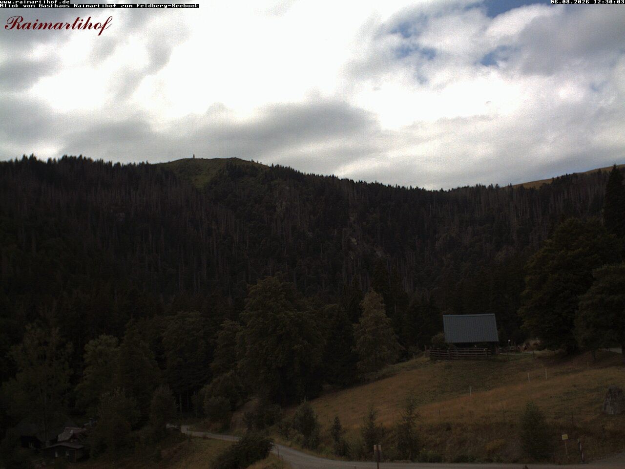 Archiv Foto Webcam Feldberg Raimartihof