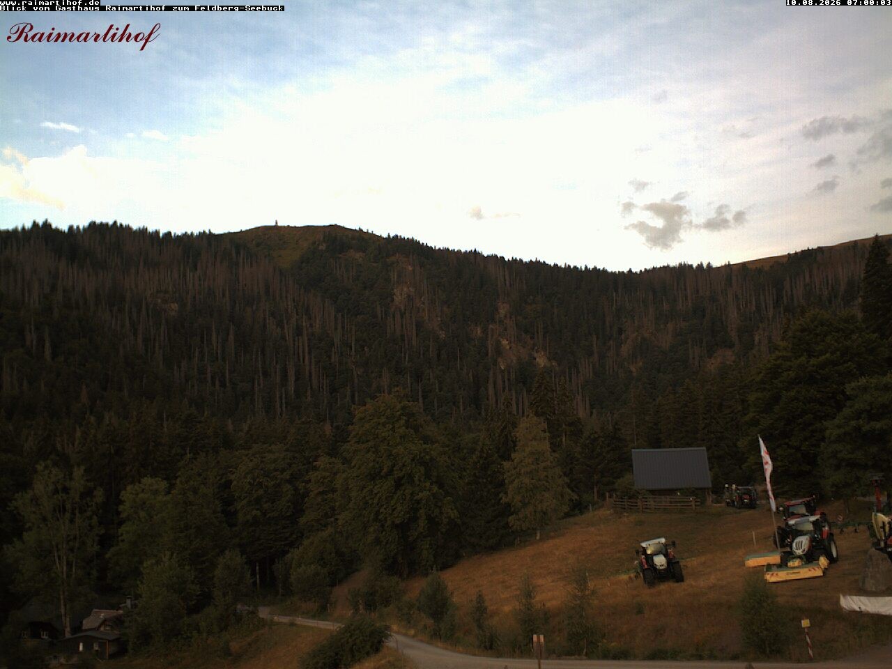 Archiv Foto Webcam Feldberg Raimartihof