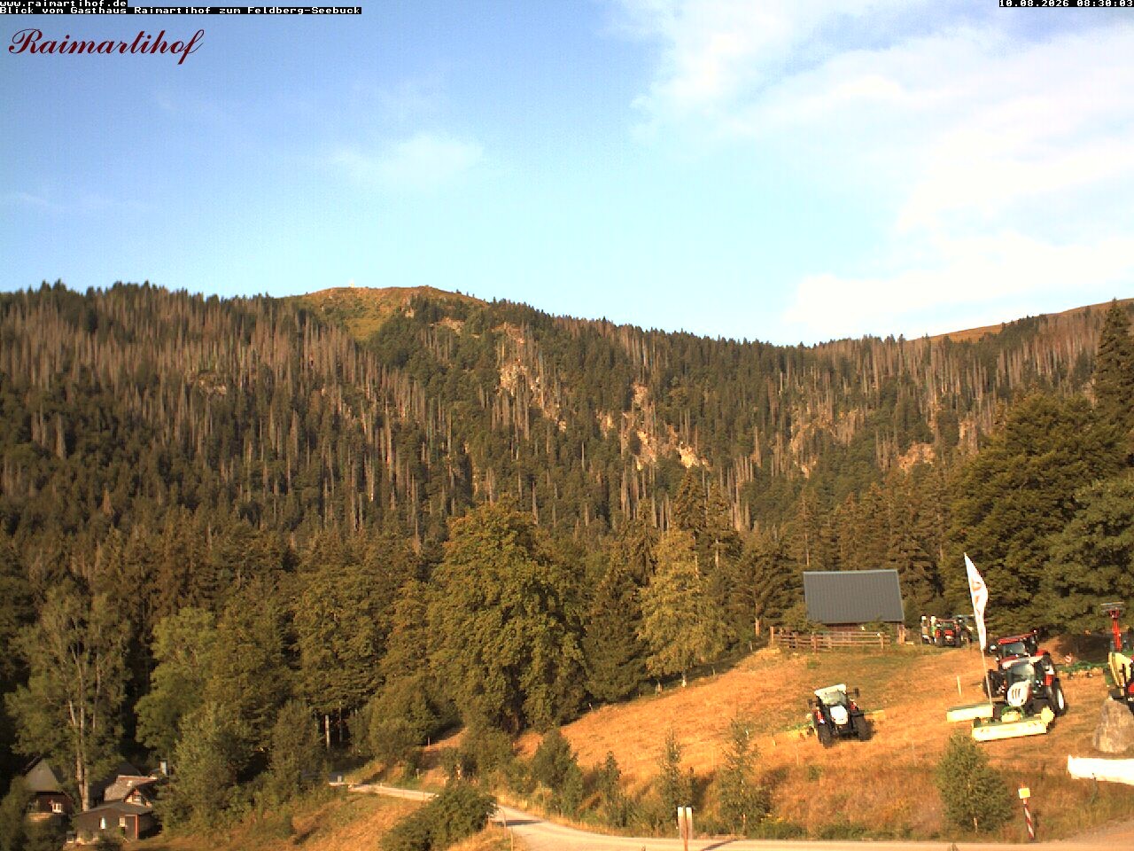 Archiv Foto Webcam Feldberg Raimartihof