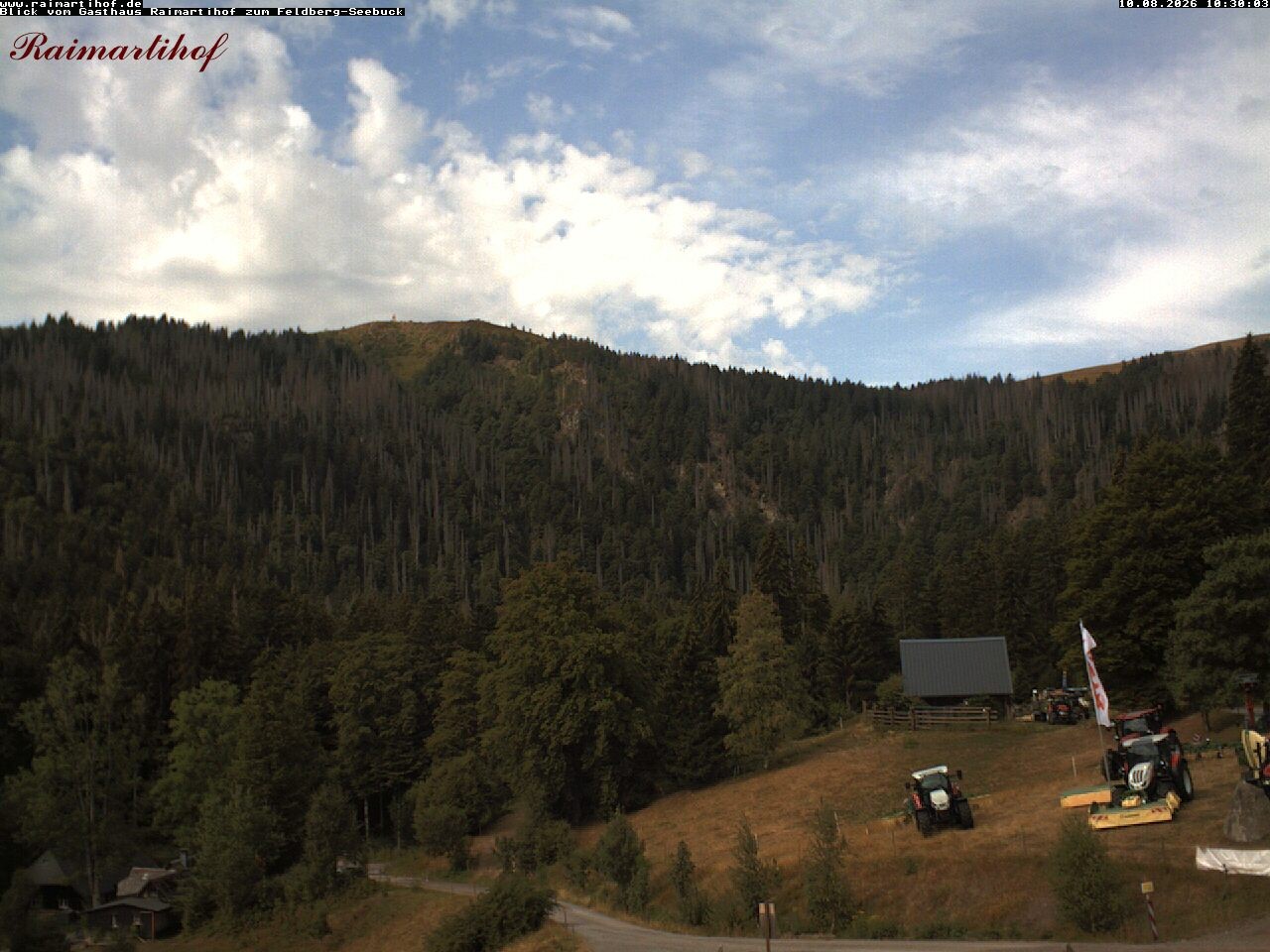 Archiv Foto Webcam Feldberg Raimartihof