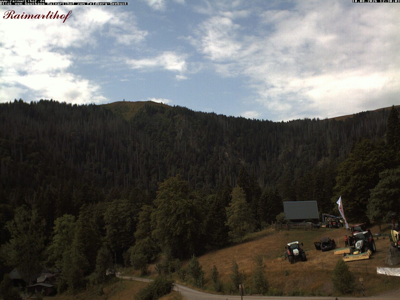 Archiv Foto Webcam Feldberg Raimartihof
