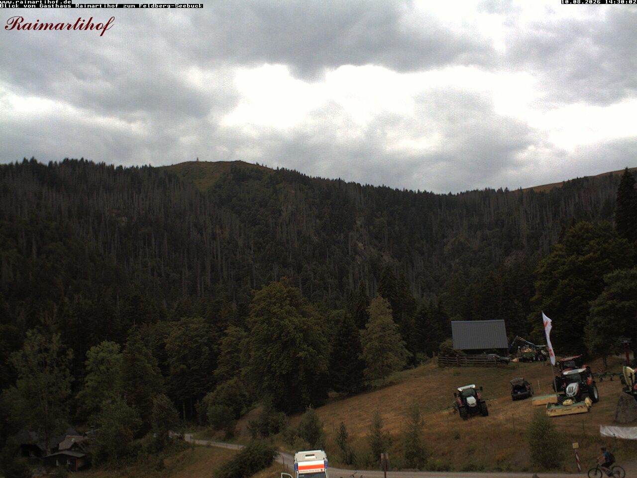 Archiv Foto Webcam Feldberg Raimartihof