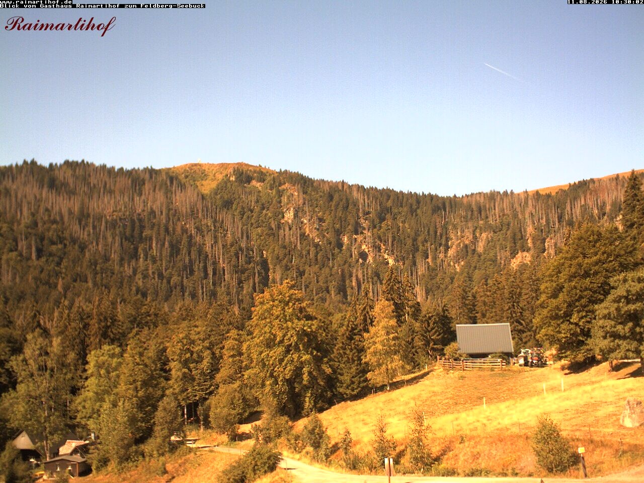 Archived image Webcam Raimartihof - Feldberg Seebuck
