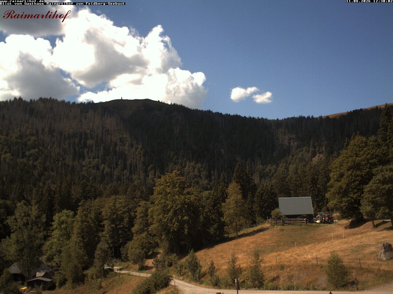 Archived image Webcam Raimartihof - Feldberg Seebuck