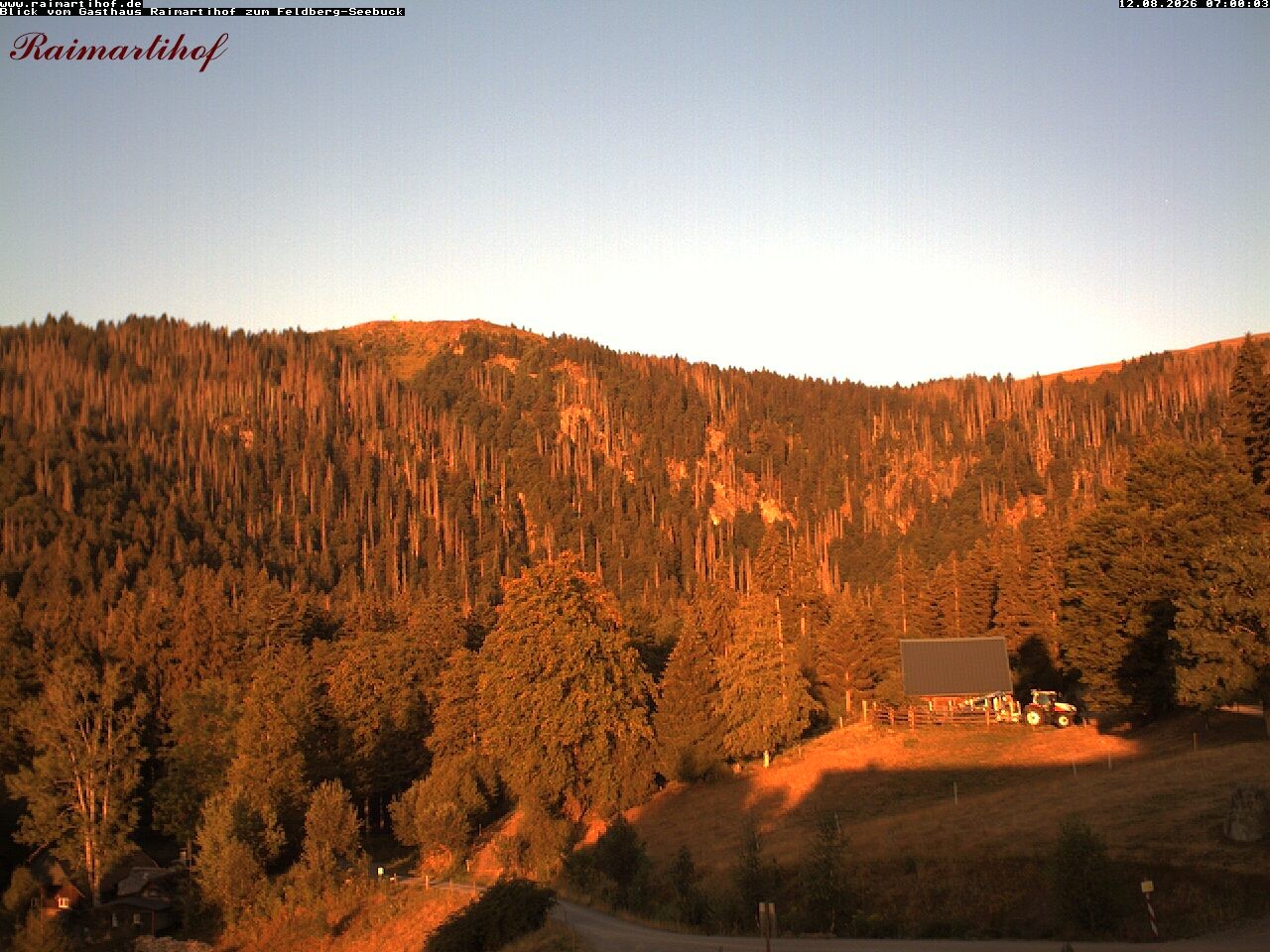 Archiv Foto Webcam Feldberg Raimartihof