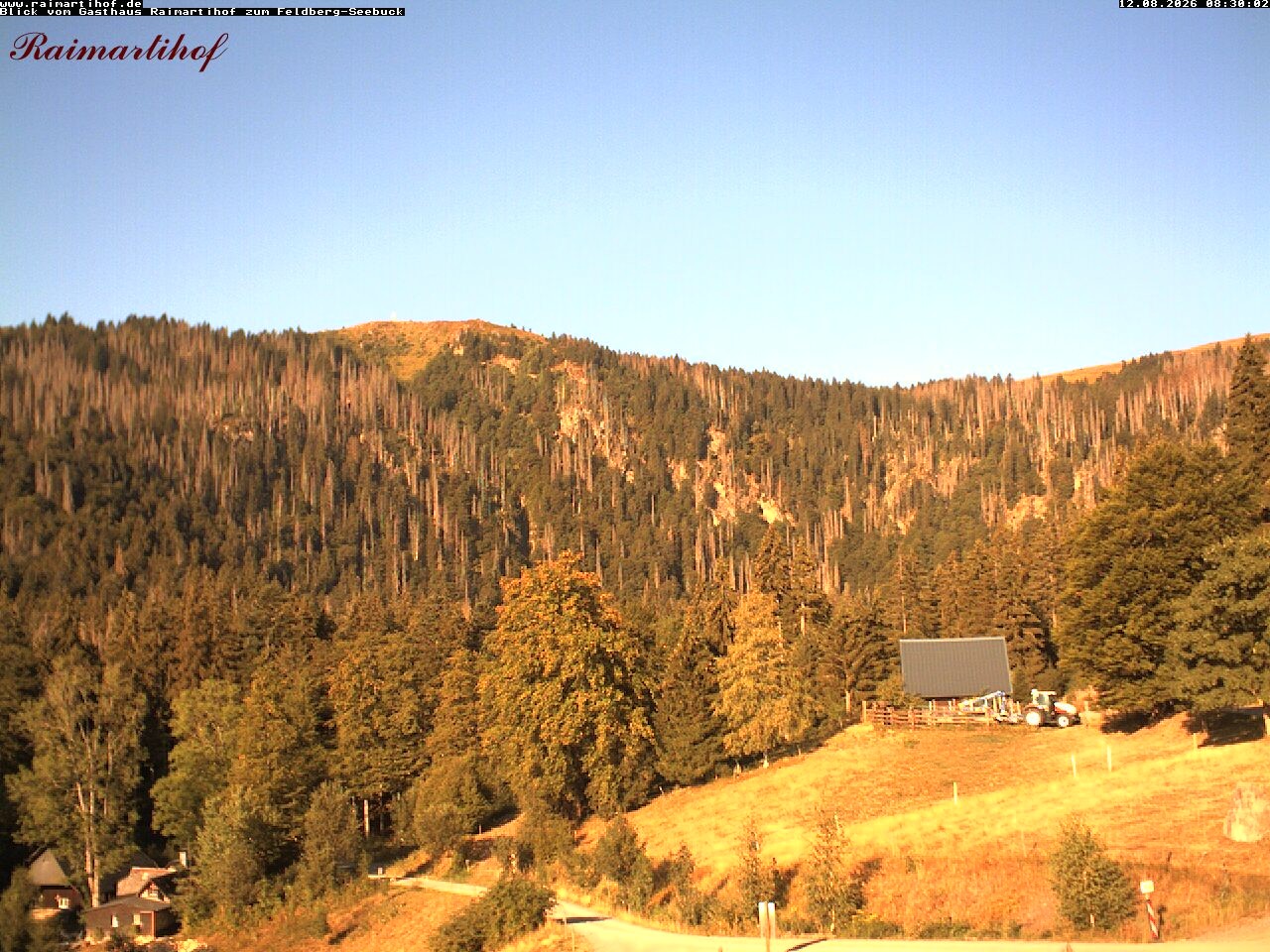 Archiv Foto Webcam Feldberg Raimartihof