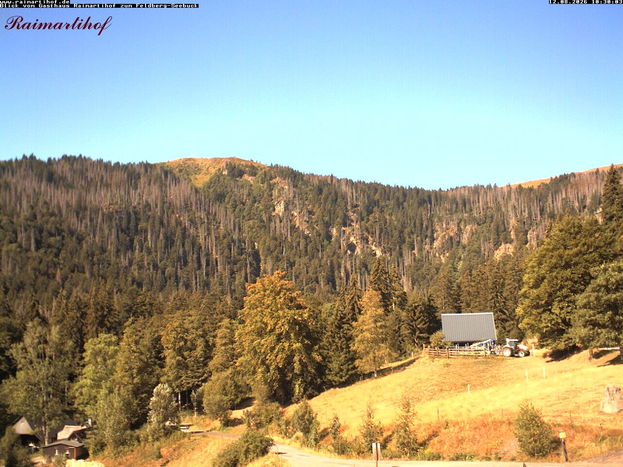 Archiv Foto Webcam Feldberg Raimartihof