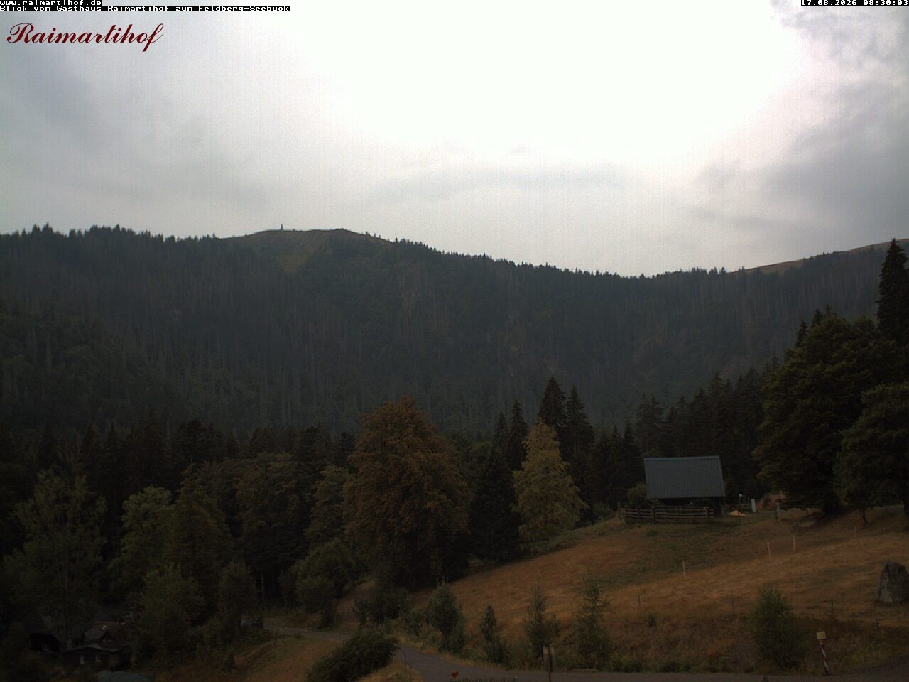 Archived image Webcam Raimartihof - Feldberg Seebuck
