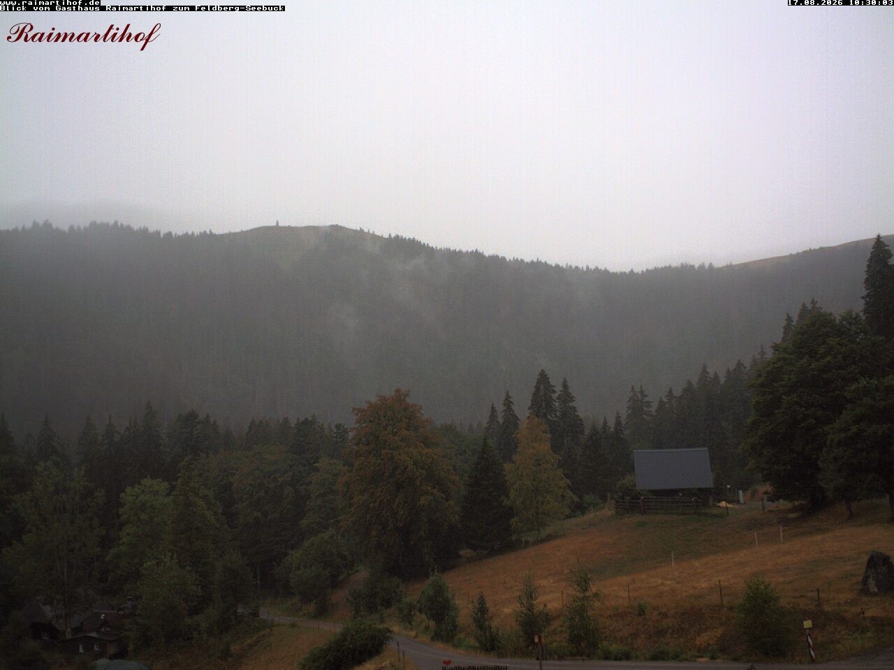 Archived image Webcam Raimartihof - Feldberg Seebuck