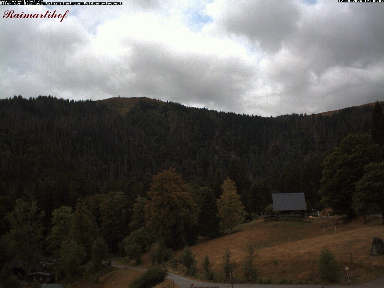 Archived image Webcam Raimartihof - Feldberg Seebuck