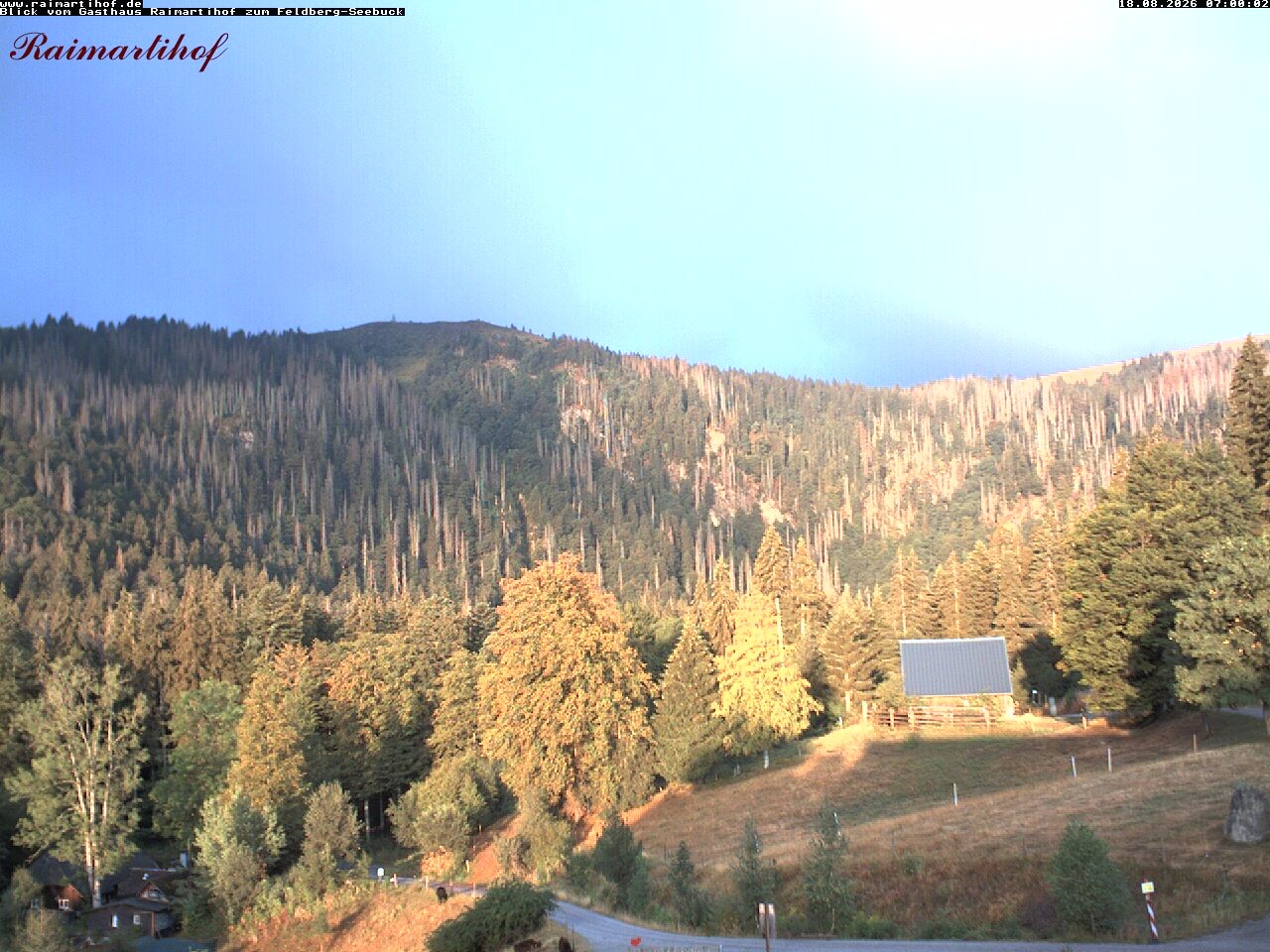 Archiv Foto Webcam Feldberg Raimartihof