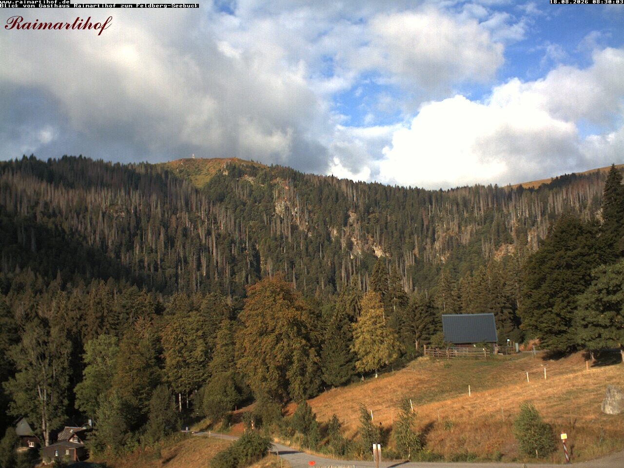 Archiv Foto Webcam Feldberg Raimartihof