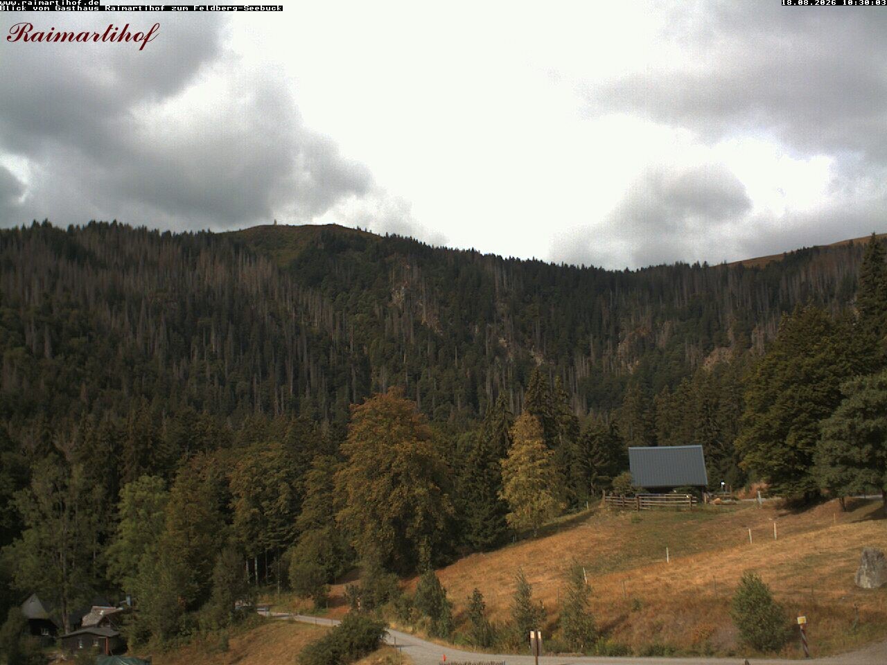 Archiv Foto Webcam Feldberg Raimartihof