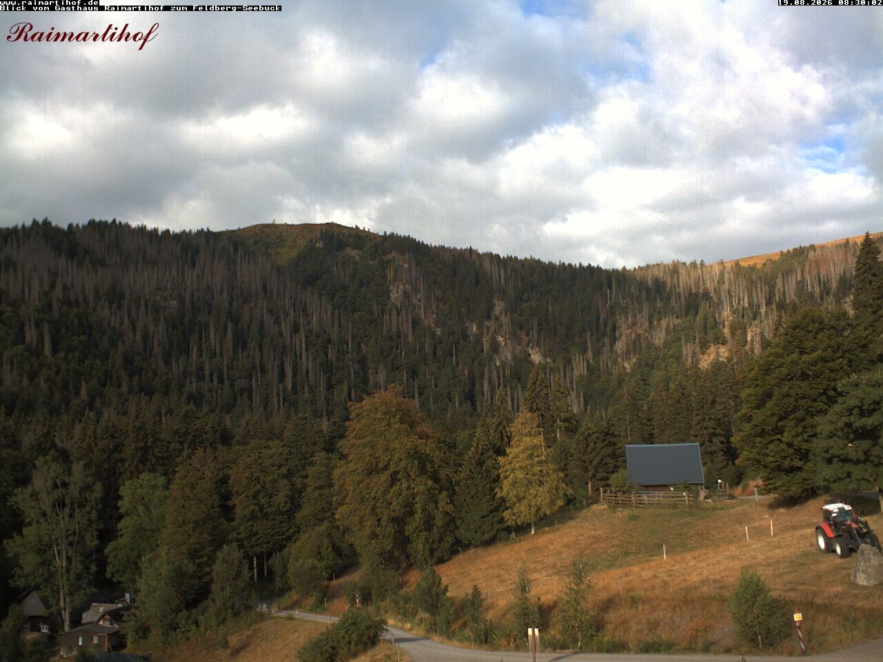 Archiv Foto Webcam Feldberg Raimartihof