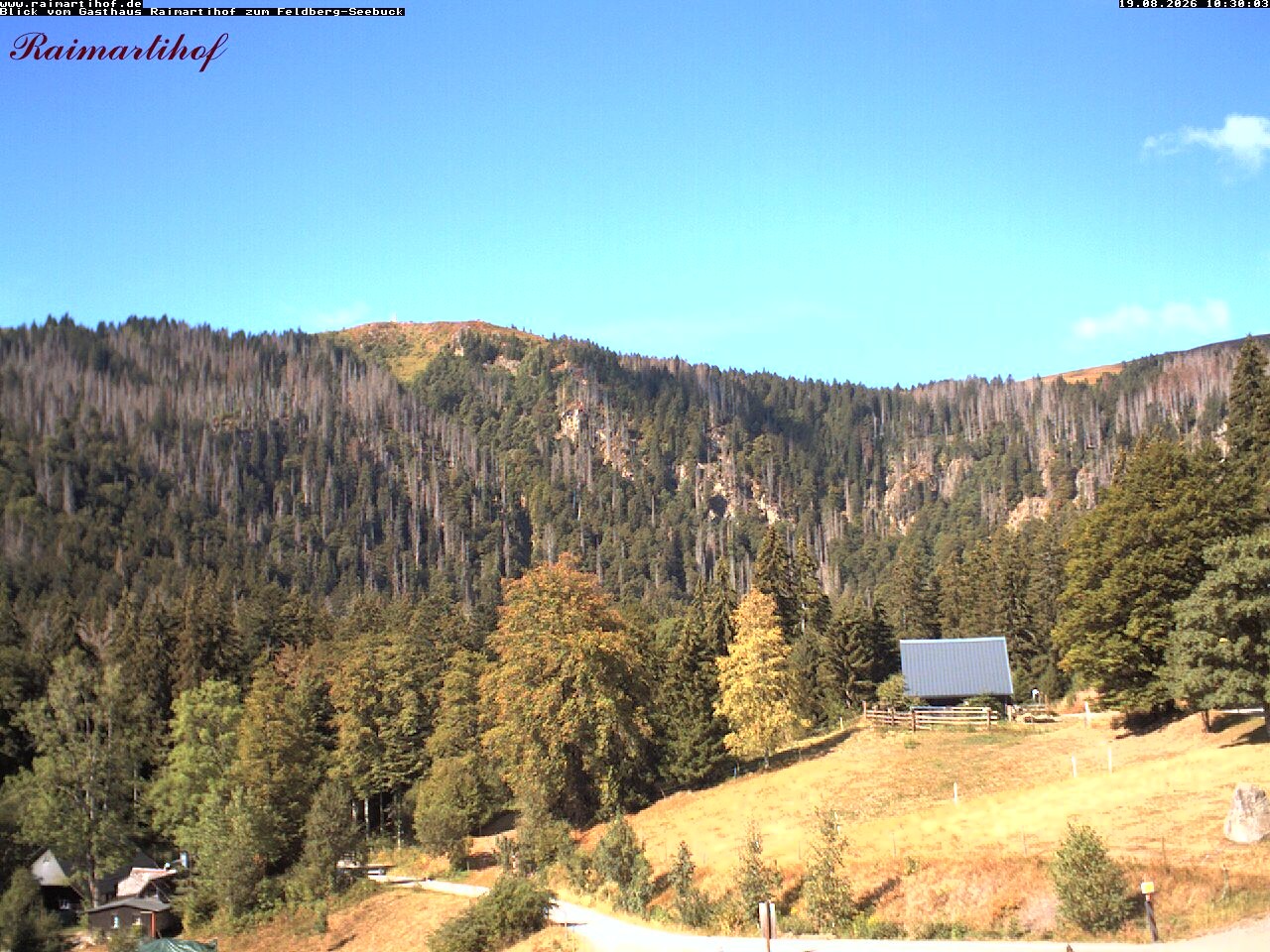 Archiv Foto Webcam Feldberg Raimartihof