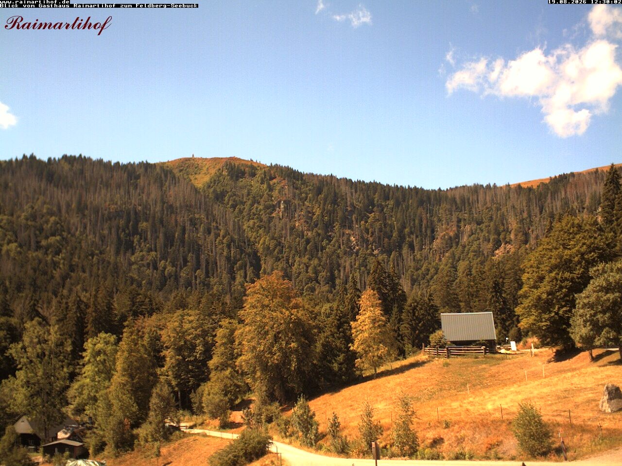 Archiv Foto Webcam Feldberg Raimartihof