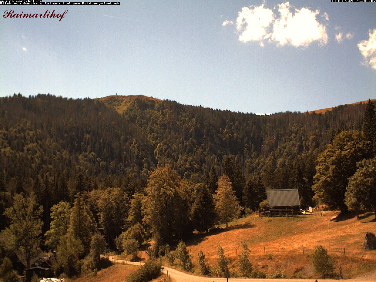 Archiv Foto Webcam Feldberg Raimartihof