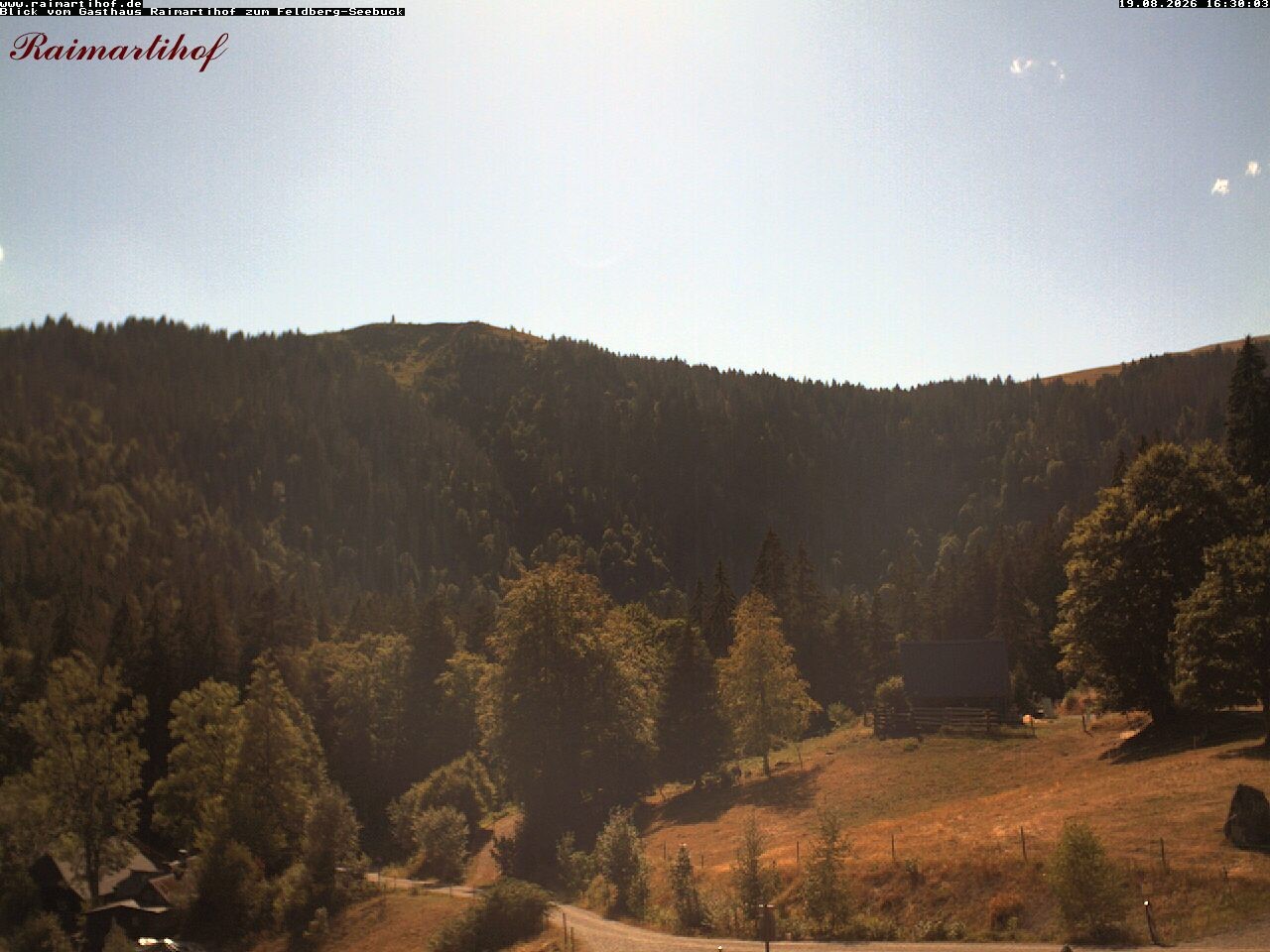 Archiv Foto Webcam Feldberg Raimartihof