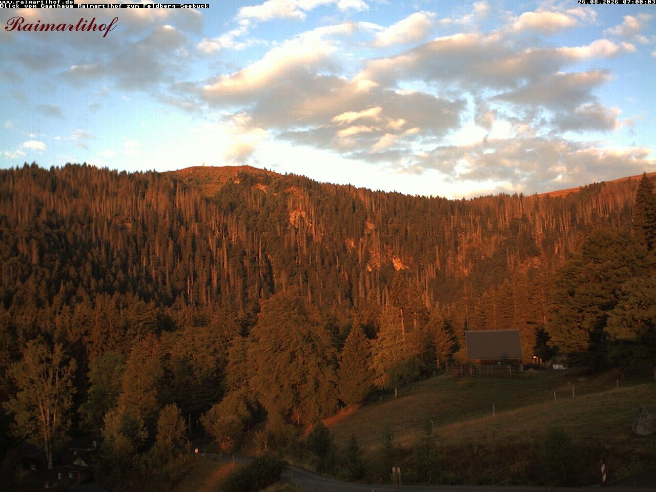 Archiv Foto Webcam Feldberg Raimartihof