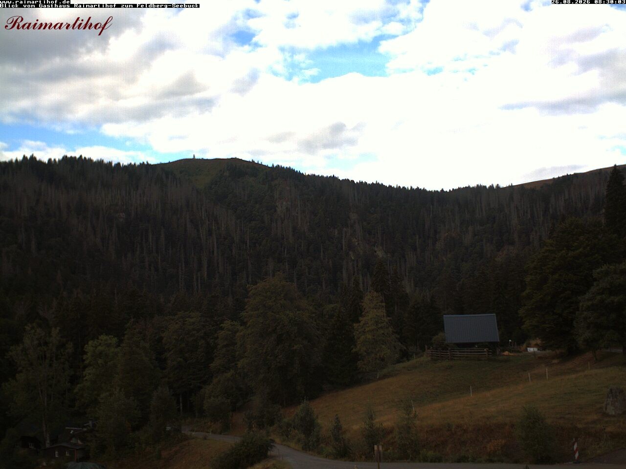 Archiv Foto Webcam Feldberg Raimartihof