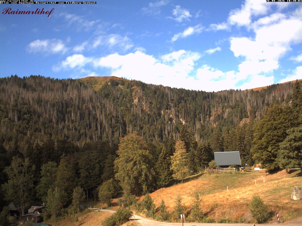 Archiv Foto Webcam Feldberg Raimartihof