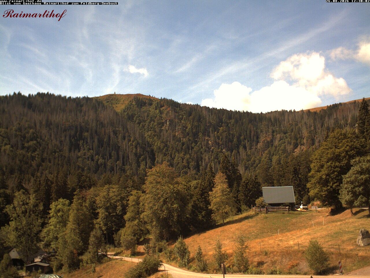 Archiv Foto Webcam Feldberg Raimartihof