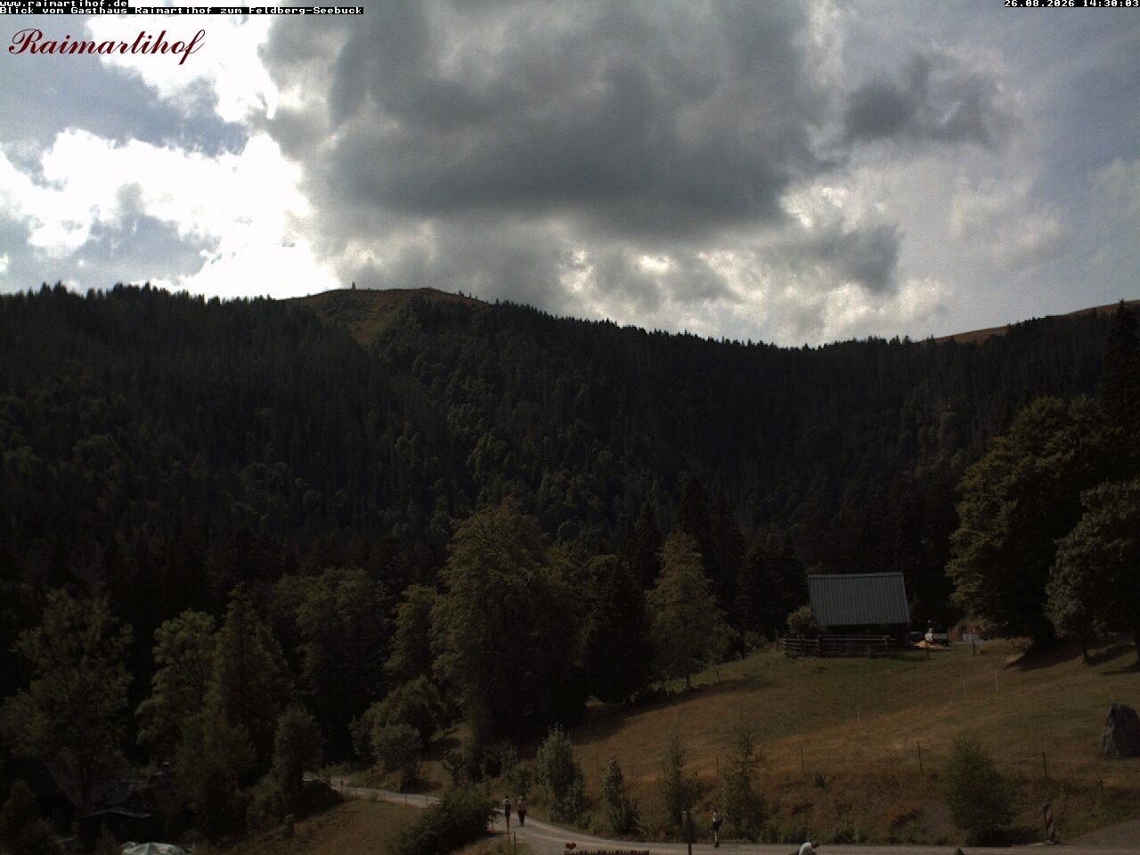 Archiv Foto Webcam Feldberg Raimartihof