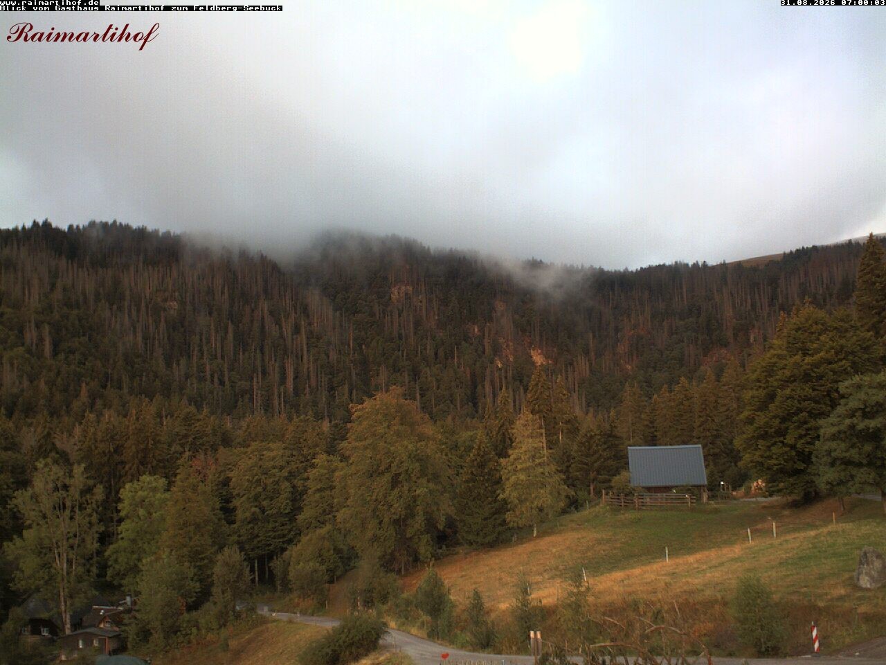 Archiv Foto Webcam Feldberg Raimartihof