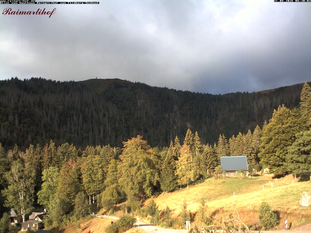 Archiv Foto Webcam Feldberg Raimartihof
