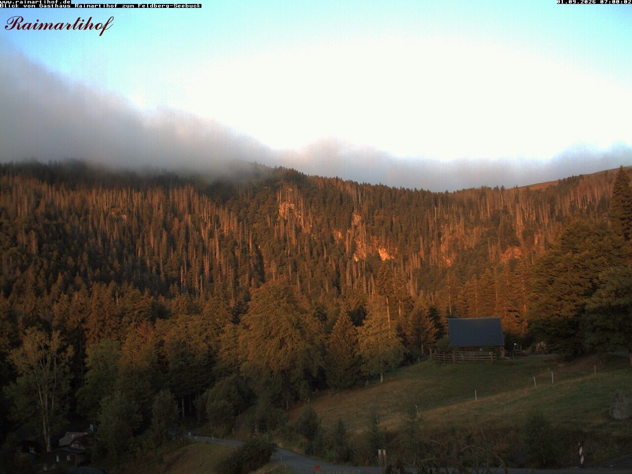Archiv Foto Webcam Feldberg Raimartihof