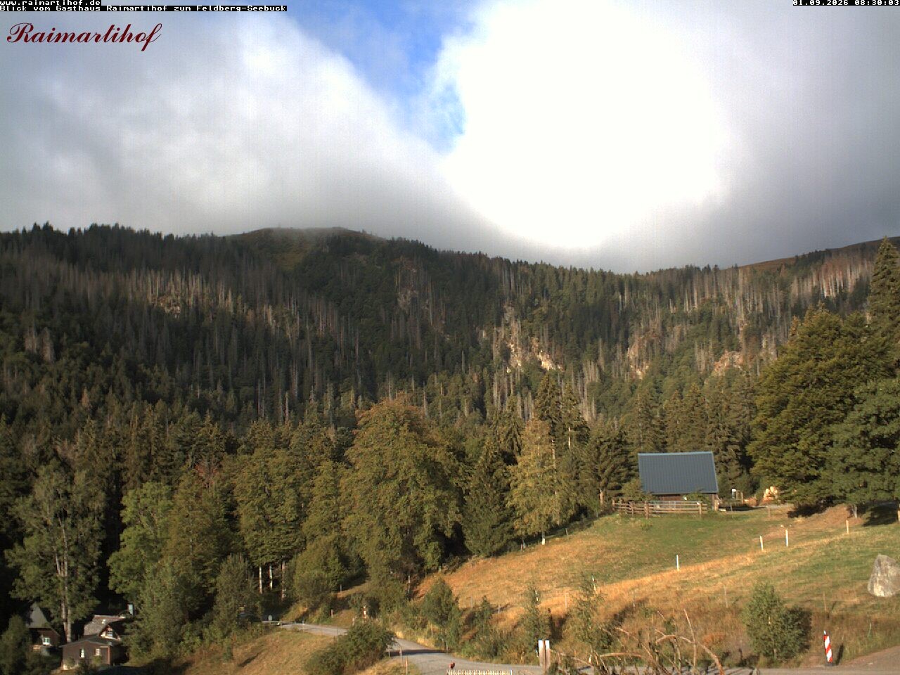Archiv Foto Webcam Feldberg Raimartihof
